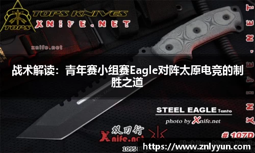 乐盈VI平台