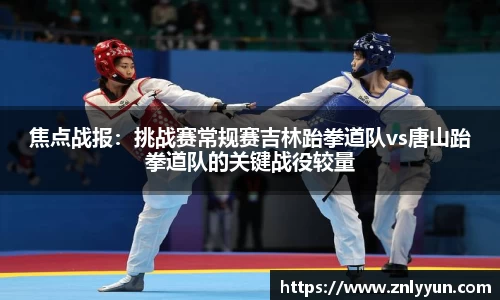 乐盈VI